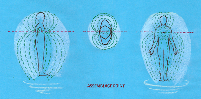 The Position of the Assemblage Point